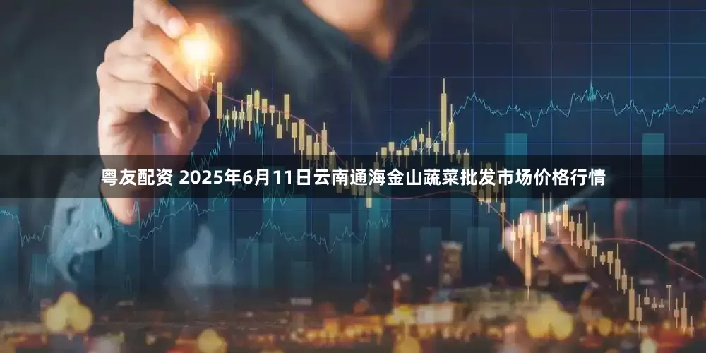 粤友配资 2025年6月11日云南通海金山蔬菜批发市场价格行情